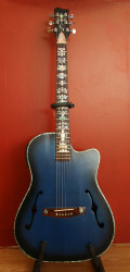 acoustic guitar