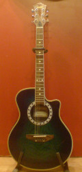 acoustic guitar